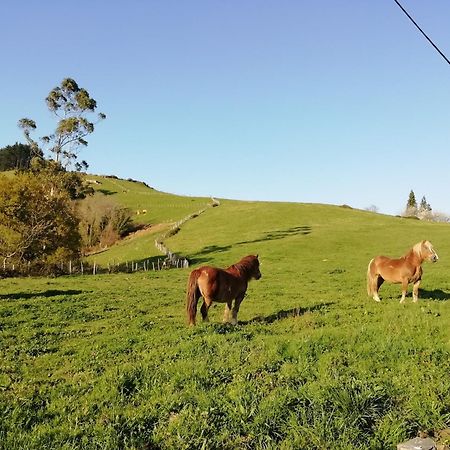 Agroturismo Pagoederraga Орио Екстериор снимка