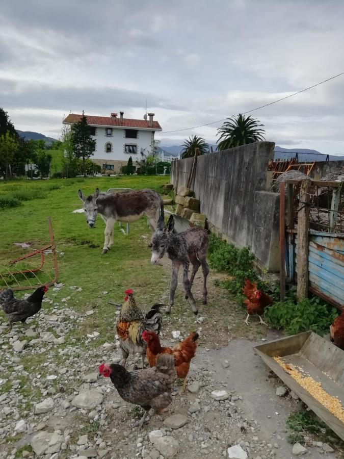 Agroturismo Pagoederraga Орио Екстериор снимка