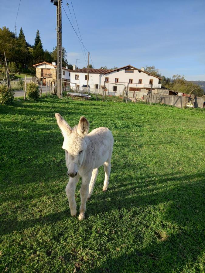 Agroturismo Pagoederraga Орио Екстериор снимка