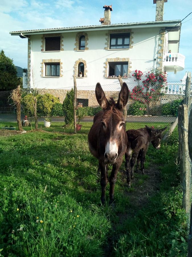 Agroturismo Pagoederraga Орио Екстериор снимка