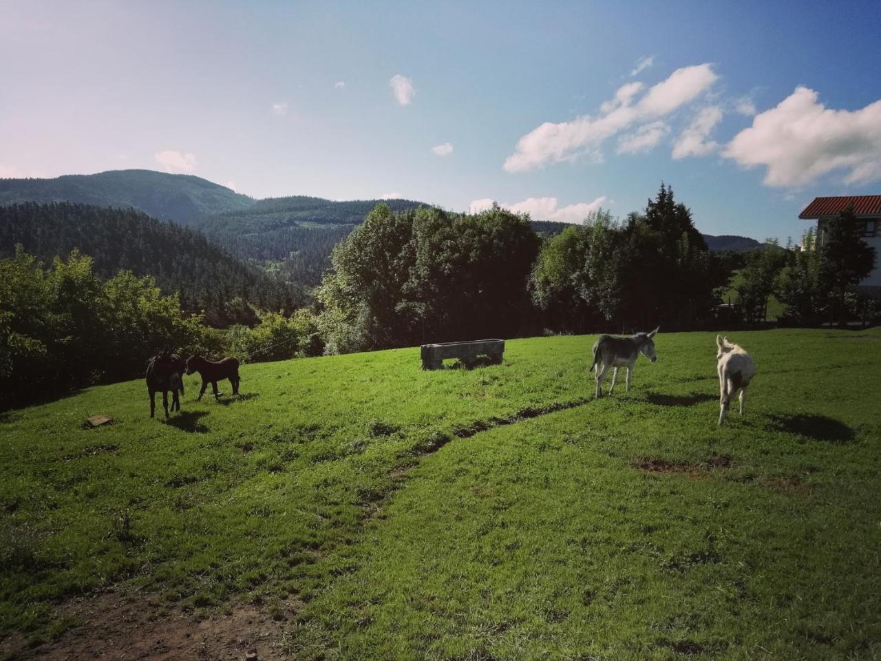 Agroturismo Pagoederraga Орио Екстериор снимка