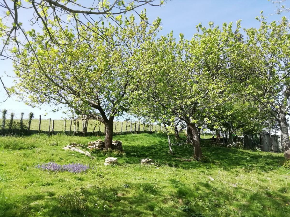 Agroturismo Pagoederraga Орио Екстериор снимка