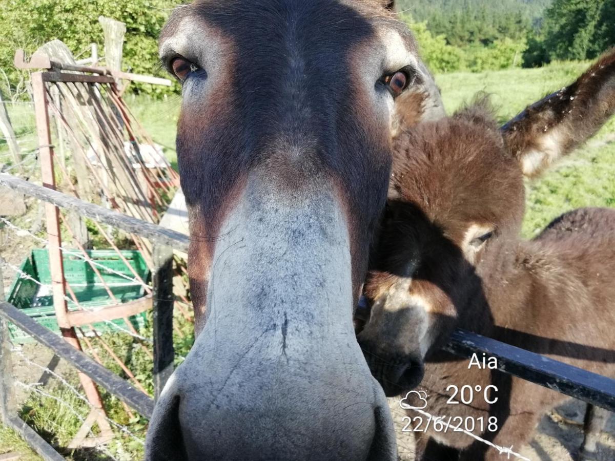 Agroturismo Pagoederraga Орио Екстериор снимка
